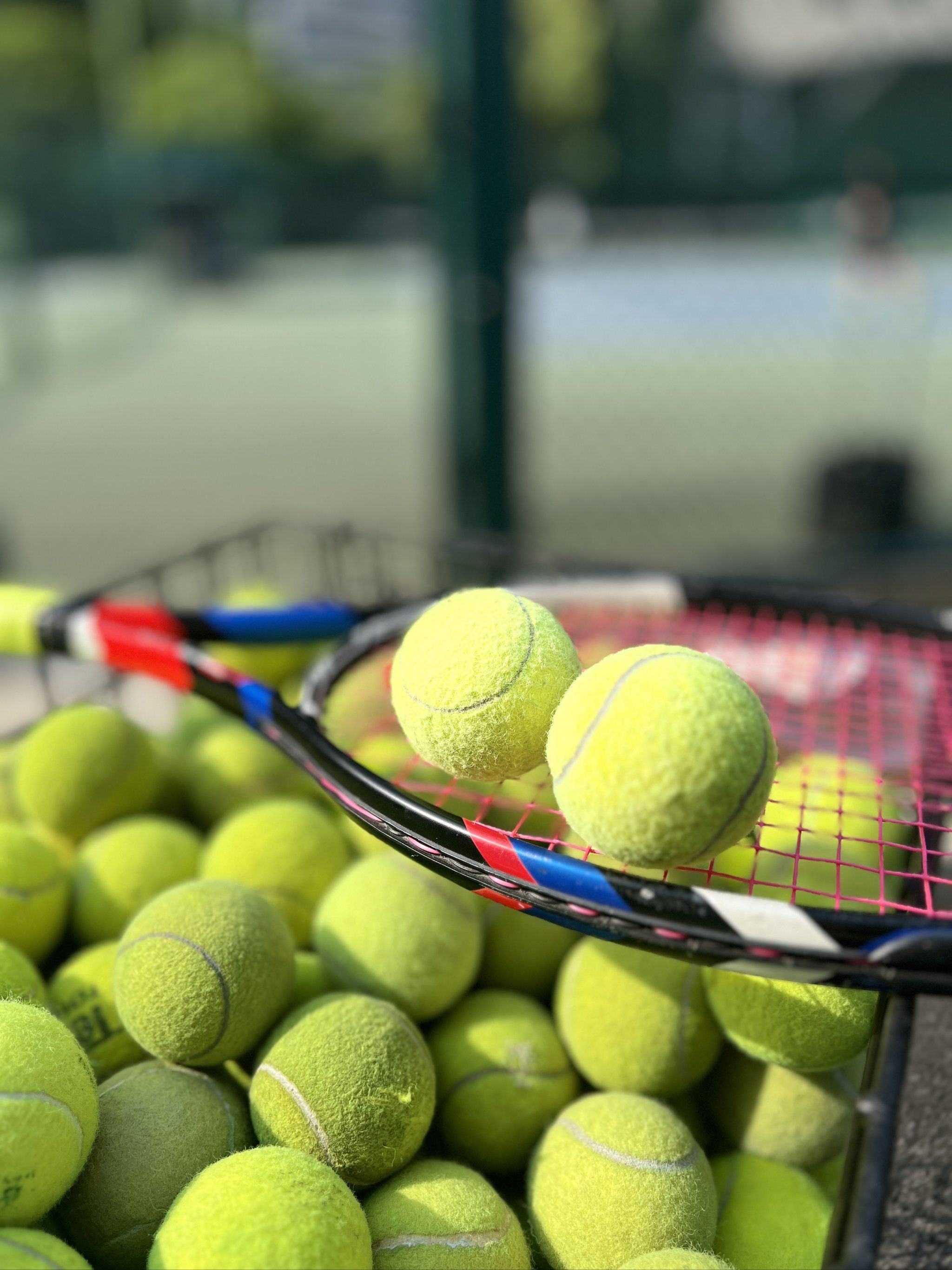 灰熊的多点 灰熊的多点