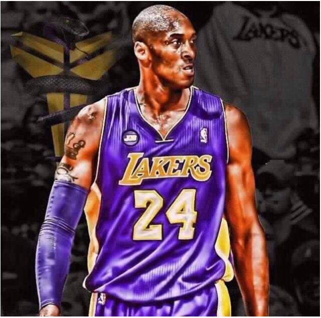 不仅仅是因 不仅仅是因