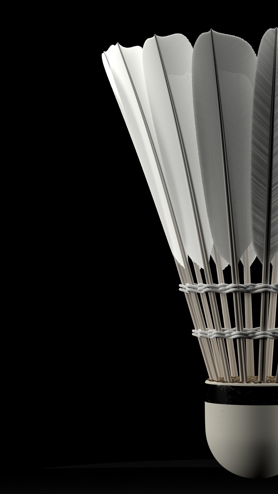 在女足竞争 在女足竞争